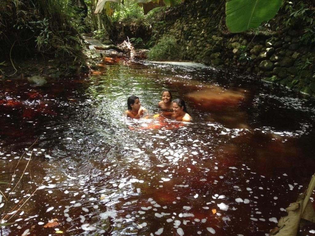 Hospedaria Quintal Dos Sonhos Вали-ду-Капан Экстерьер фото